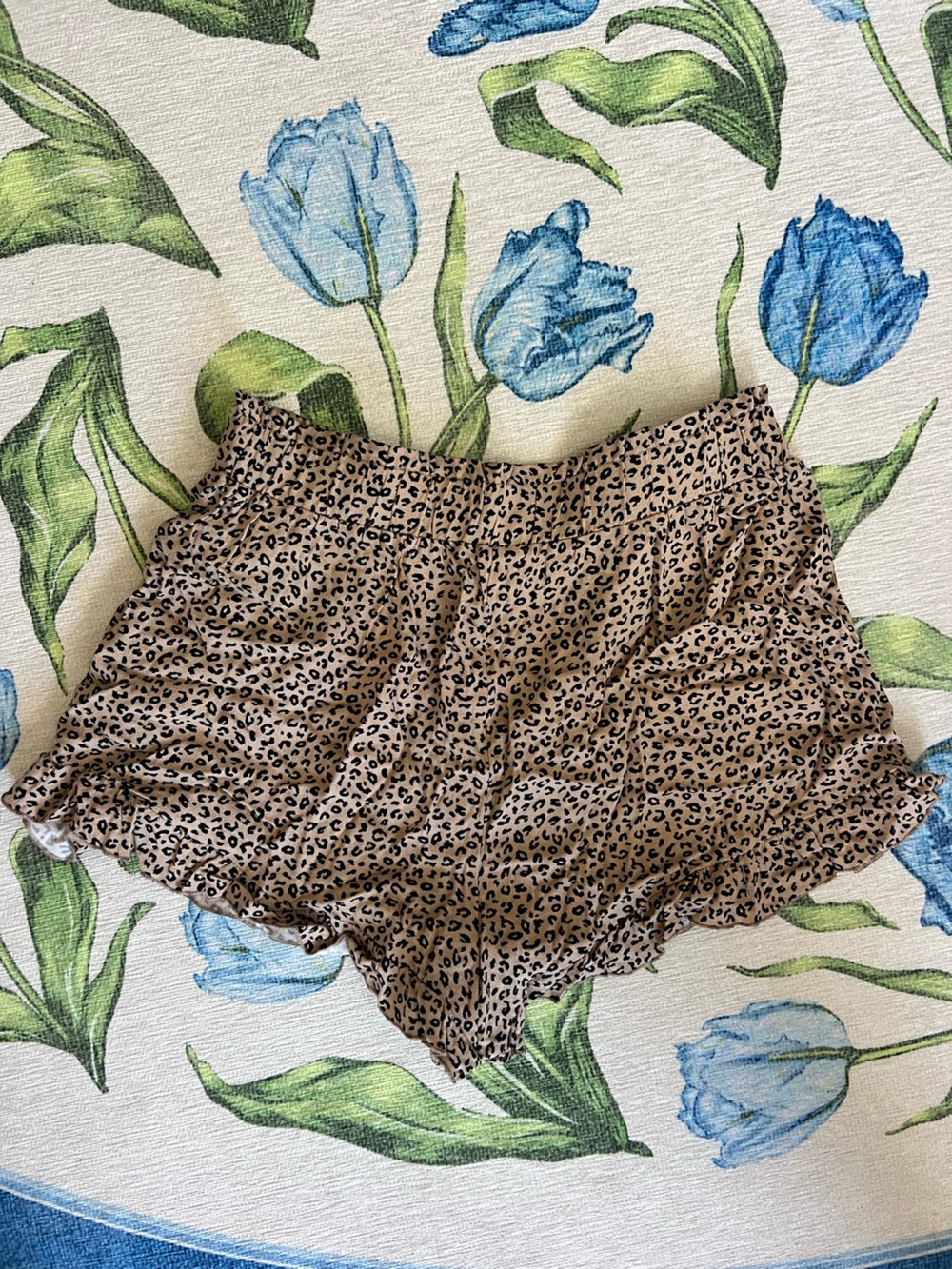 Francesca's Leopard Print Shorts
